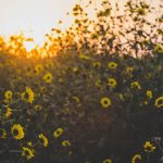 God The Father Bible Reading Plan For May