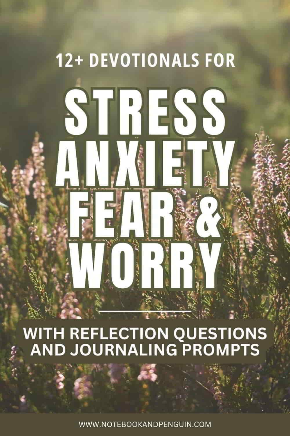 Devotionals for Worry and Stress Pinterest Pin