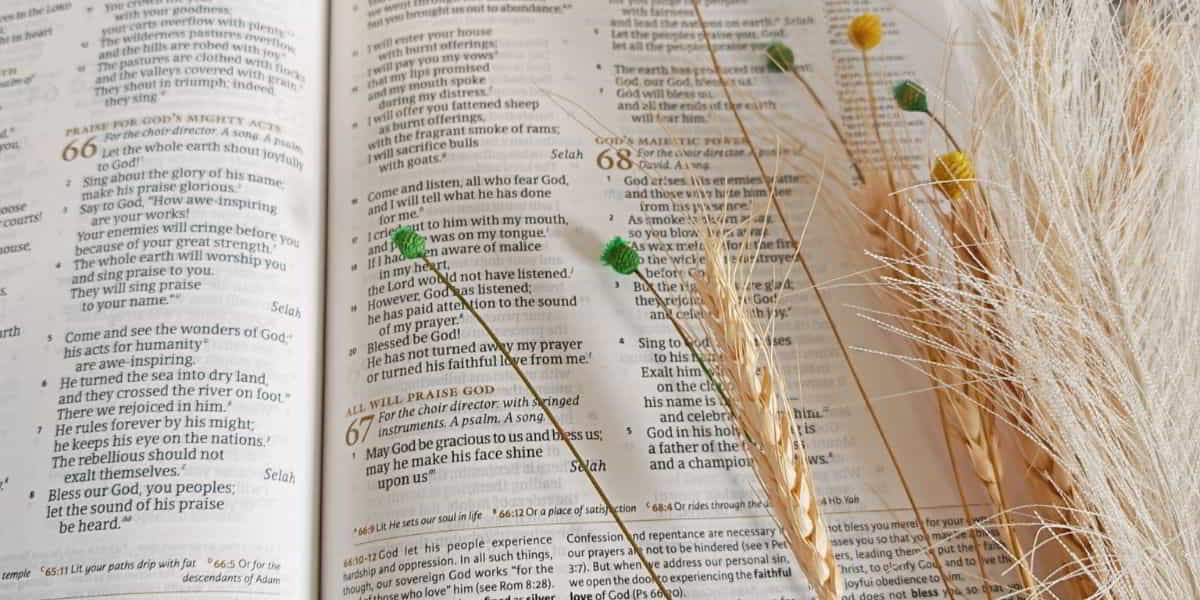 HEAR Bible Study Method Step-By-Step Guide