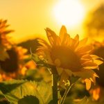 How God Sees Work Bible Reading Plan For Beginners