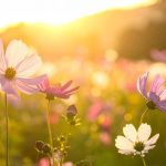 Trusting God Bible Reading Plan For Beginners