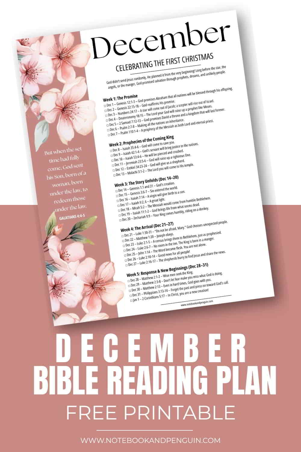 Christmas Bible Reading Plan For December