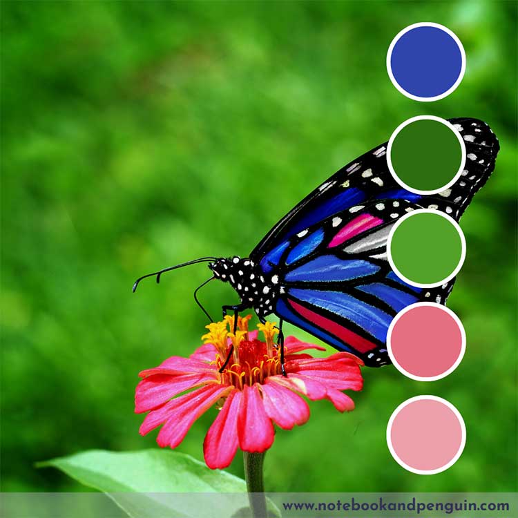 Blue and green color palette with pink accent colors