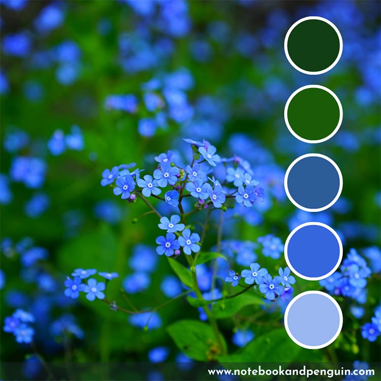 Bright and bold green and blue color palette