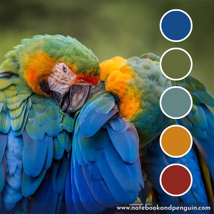 Green and blue color palette with red and orange accents