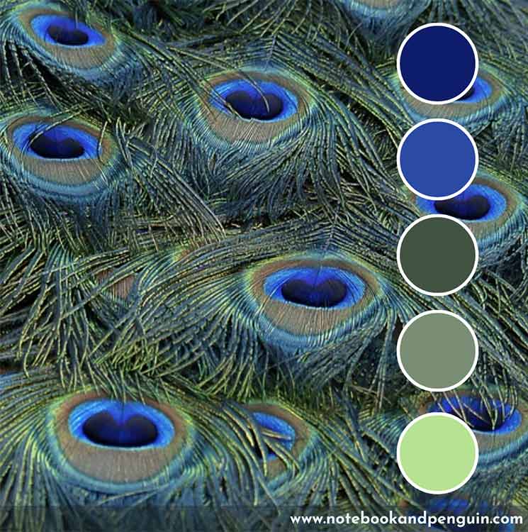 Green and navy blue color palette