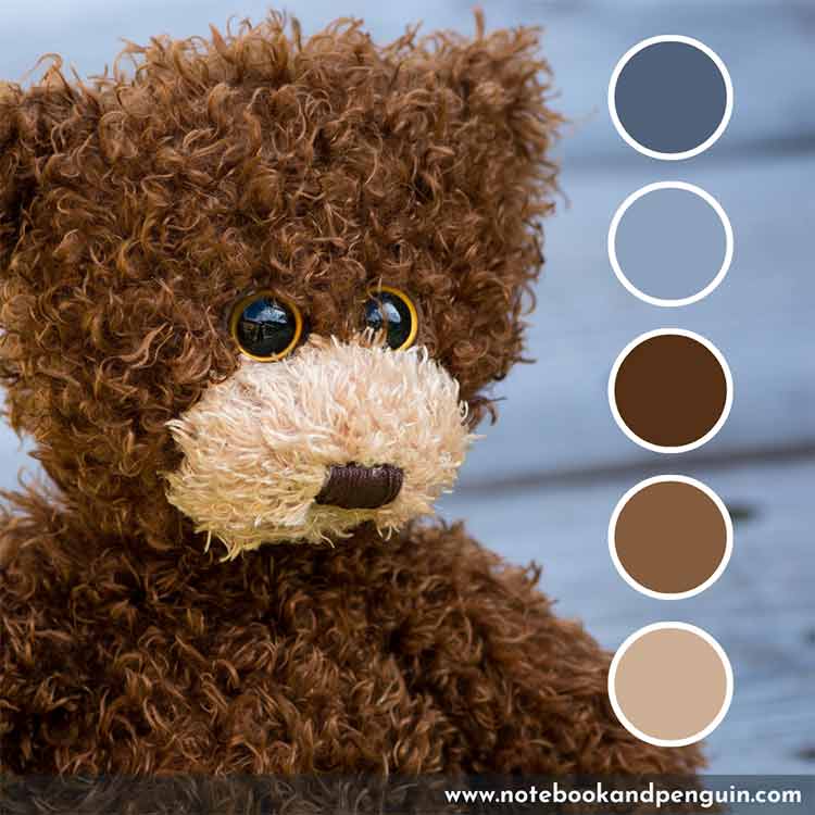 powder-blue-and-brown-color-combination