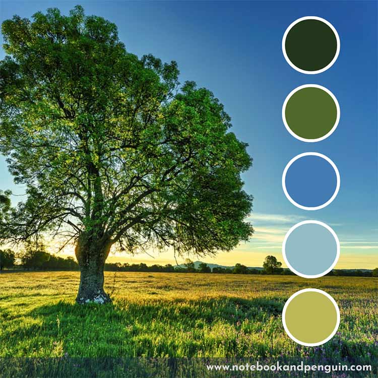 Sunrise blue green color palette