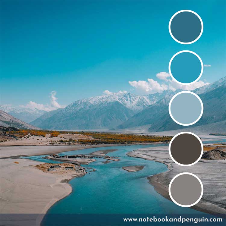 Teal blue and earthy brown color palette